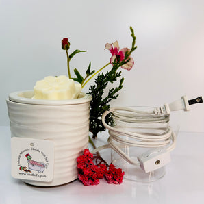 Ceramic Wax Melter- Electrical